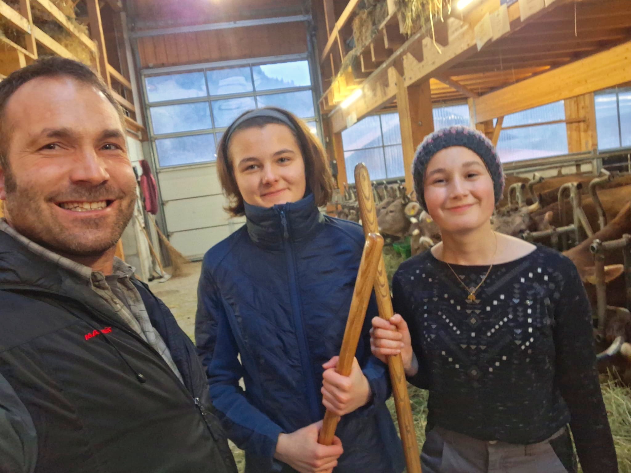 Selfie Ferme Etable Vaches